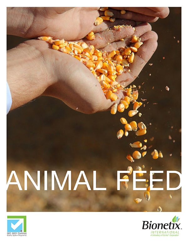 Animal Feed Brochure