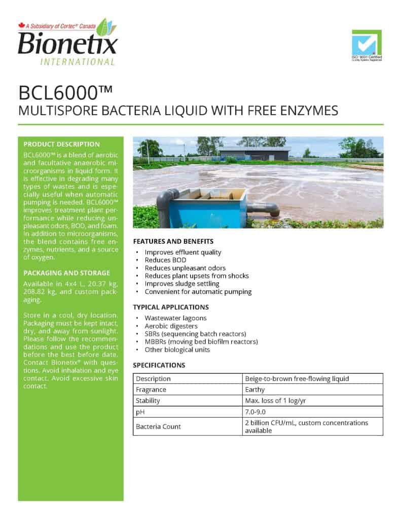 BCL6000