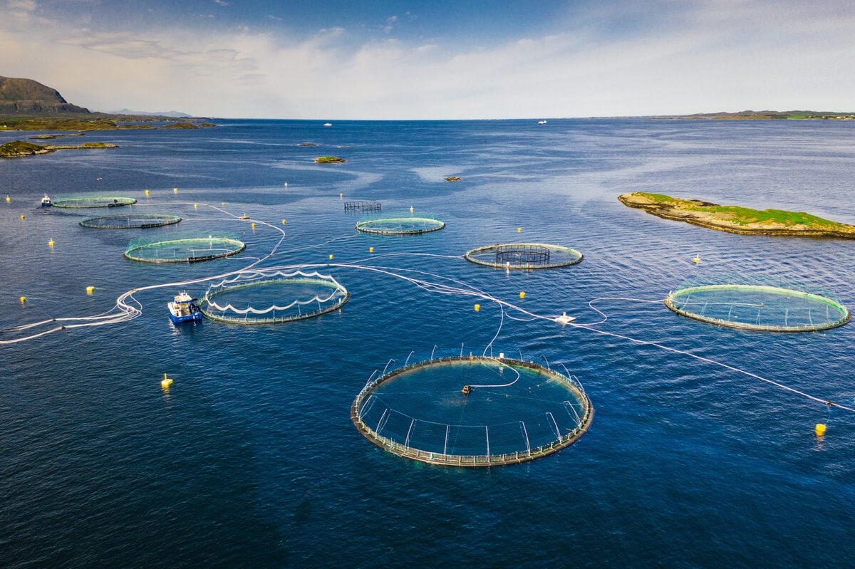 Ferme aquacole de saumon dans le fjord norvégien Adobestock 275245574 1 Scaled - Bionetix®